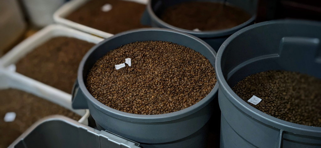 Why Q Graders Matter: The Hidden Backbone of Coffee Quality