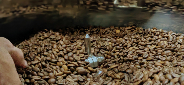 Brewing Change: Noozkav’s Vision for a Sustainable Coffee Ecosystem