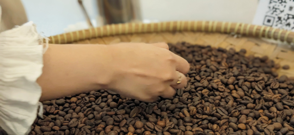Bean Stories: Discovering the True Character of Single Origin Coffee