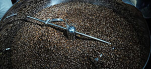 The Shifting Landscape of Specialty Coffee: Understanding 2026 Trends and Indonesia’s Strategic Momentum