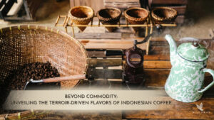 Beyond Commodity: Unveiling the Terroir-Driven Flavors of Indonesian Coffee