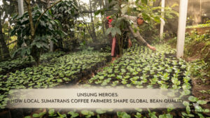 Unsung Heroes: How Local Sumatrans Coffee Farmers Shape Global Bean Quality